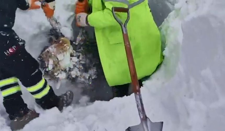 Artvin'deki çığ felaketinde son durum! Arama kurtarma çalışmaları...