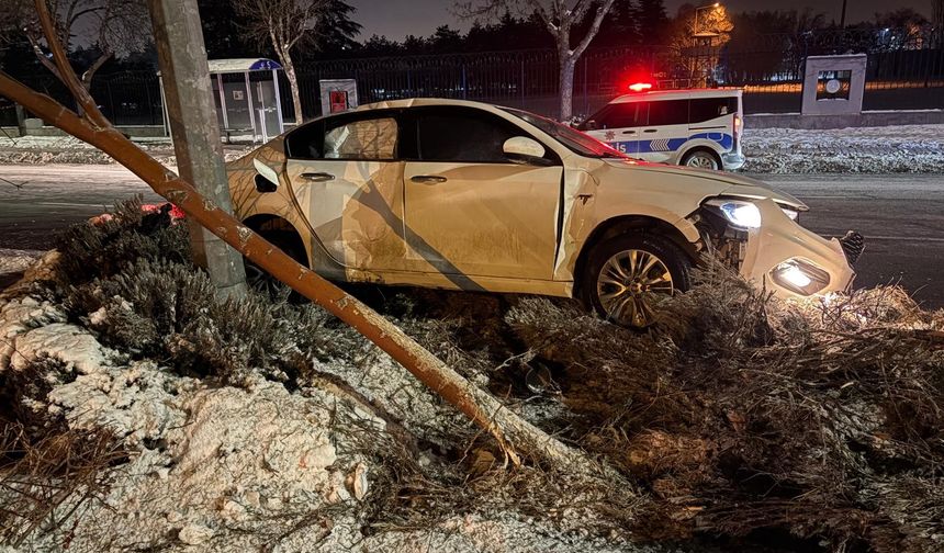 Alkollü sürücü dehşeti: Ağaç devirdi, direğe çarptı