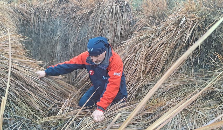 379 kişi, iz takip ve kadavra köpeğiyle kayıp kadını arıyor