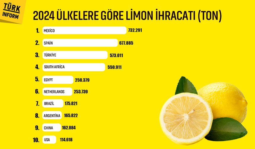 Rakamlarla Türkiye’nin limon gücü