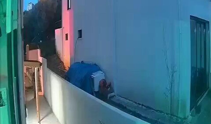 Yalova'da 14 aylık bebeğin yaralandığı saldırının kamera görüntüleri ortaya çıktı