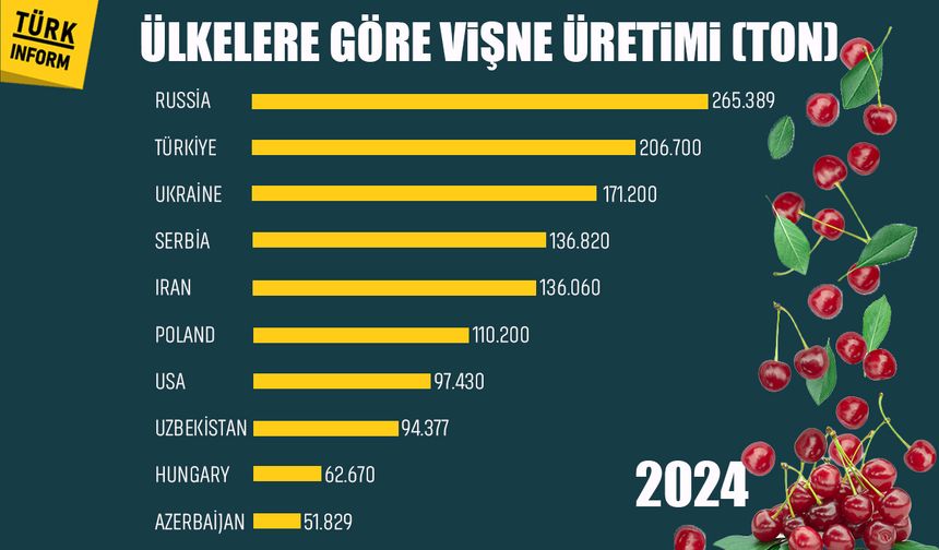 Ülkelere göre vişne üretimi (ton)
