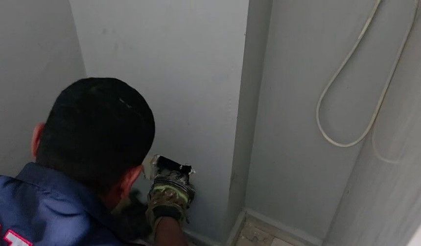 Hatay'da boşlukta kalan yavru kediler için seferberlik