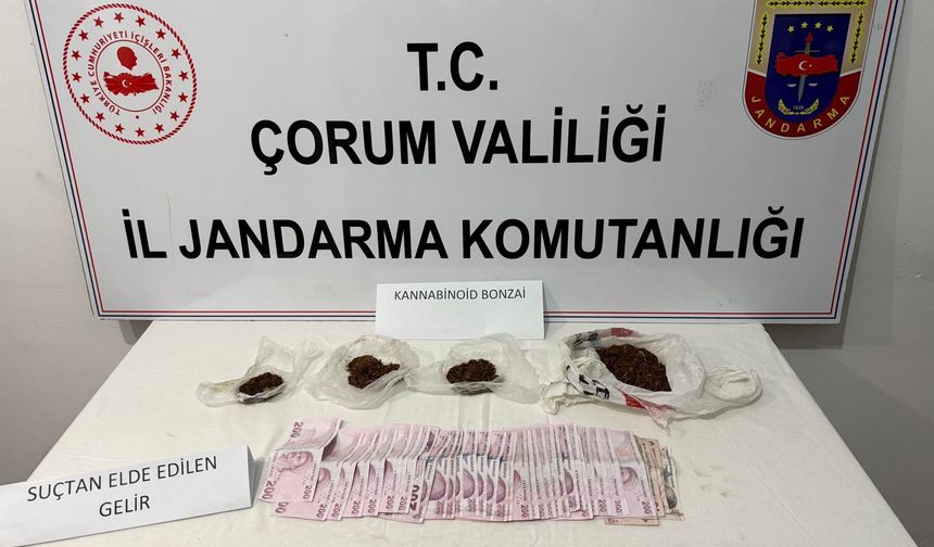 Bayram denetiminde uyuşturucu operasyonu: Kaçarken yakalandılar