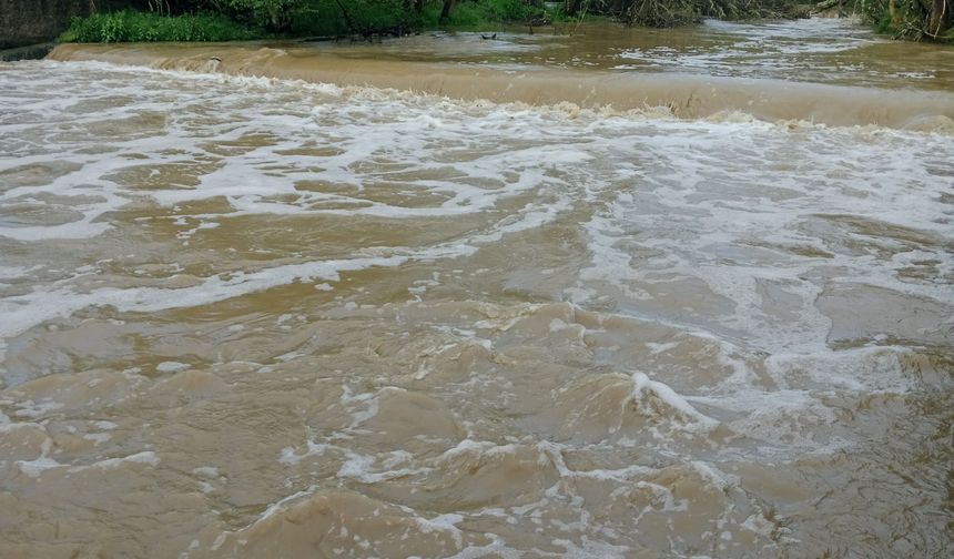 Kastamonu'da bu çayda tehlike sinyalleri