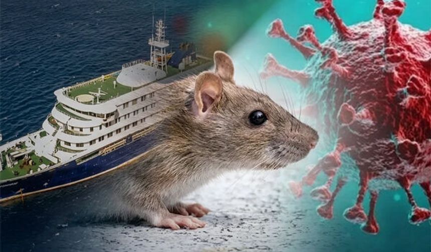 DSÖ Genel Direktörü’nden ‘Hantavirüs’ ile ilgili sevindiren gelişme duyurusu!