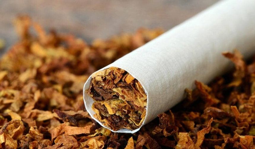 Manisa'da uzman tütünsüzlük bilincini vurguladı