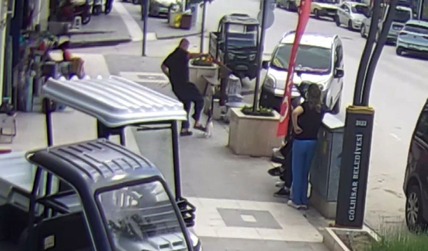 Köpeğine saldıran kediye acımasızca tekme attı: O anlar kamerada!