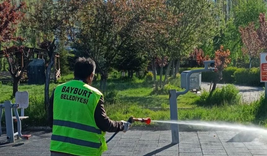 Bayburt'ta kene için geniş çaplı ilaçlama