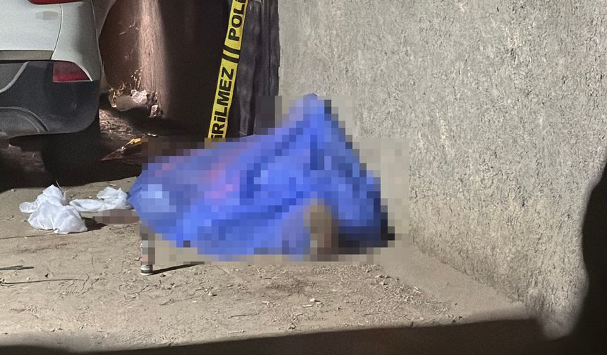 Adana'da korku dolu kardeş cinayetinin perde arkası
