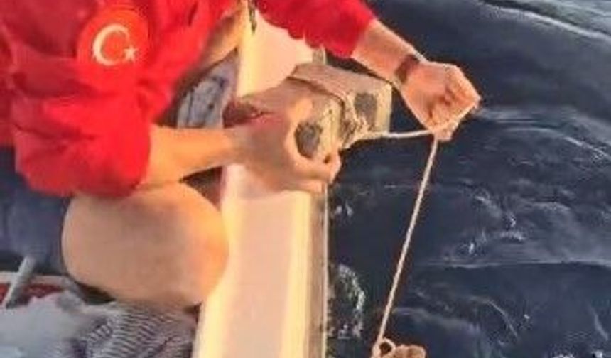 Böyle vicdansızlık görülmedi: Deniz kaplumbağasının ayağına kaldırım taşı bağlamışlar