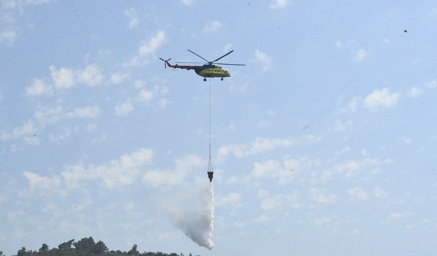 İzmir'de orman yangını korkuttu