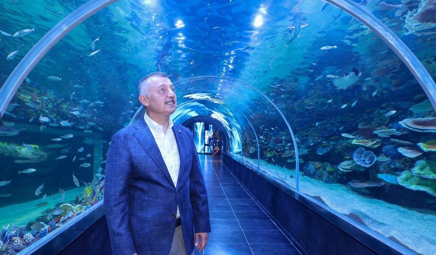 Kocaeli'ne büyük akvaryum açılıyor