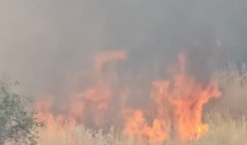 Diyarbakır'da anız yangını