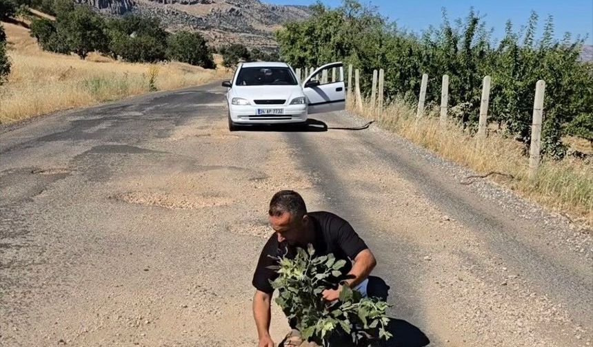 Protestonun böylesi: Yolda kapatılmayan çukurlara ağaç diktiler