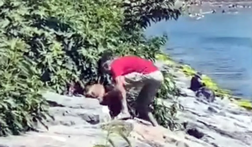 Avcılar'da vahşet: Köpeğini dakikalarca acımasızca dövdü!