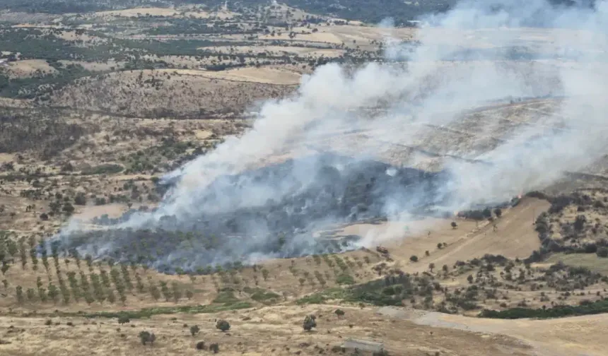 Çanakkale'de korkutan orman yangını! Alevler yükseldi, ekipler seferber oldu