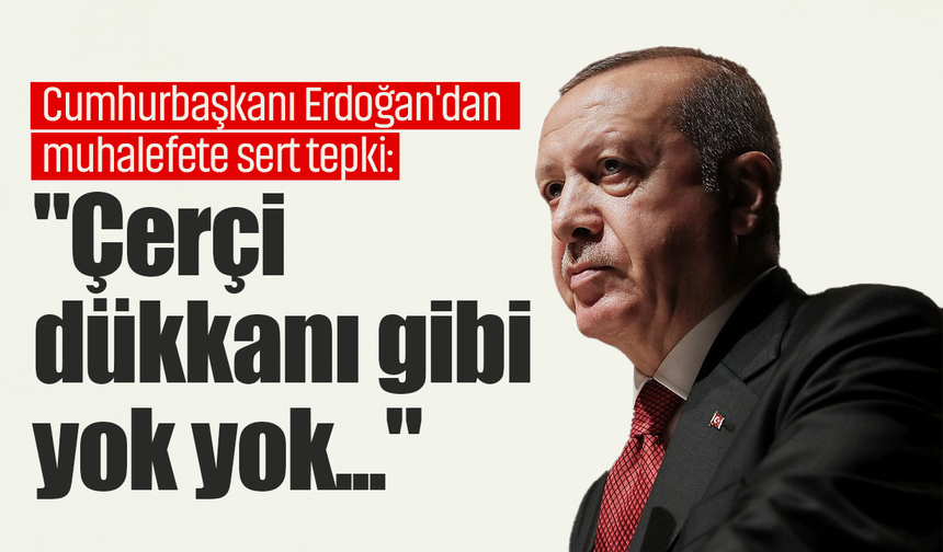 Cumhurbaşkanı Erdoğan'dan muhalefete sert tepki: "Çerçi dükkanı gibi yok yok. Entrika, skandal, ayak oyunu, ihanet..."