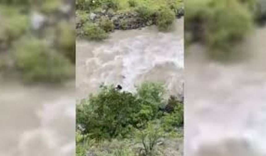 Artvin'de bir araç Çoruh Nehrine düştü