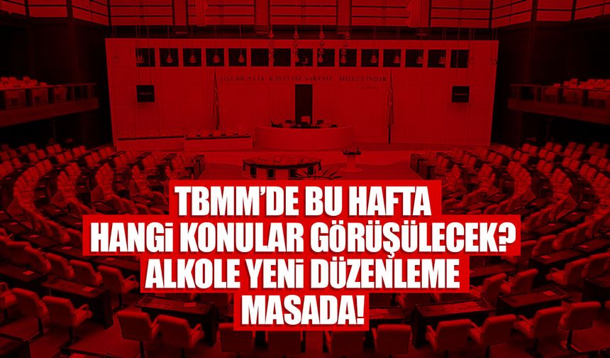 TBMM’de bu hafta hangi konular görüşülecek? Alkole yeni düzenleme masada!
