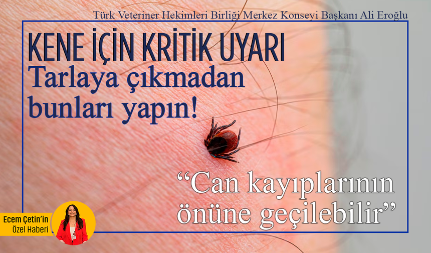 Kene için kritik uyarı: Tarlaya çıkmadan bunları yapın! “Can kayıplarının önüne geçilebilir”