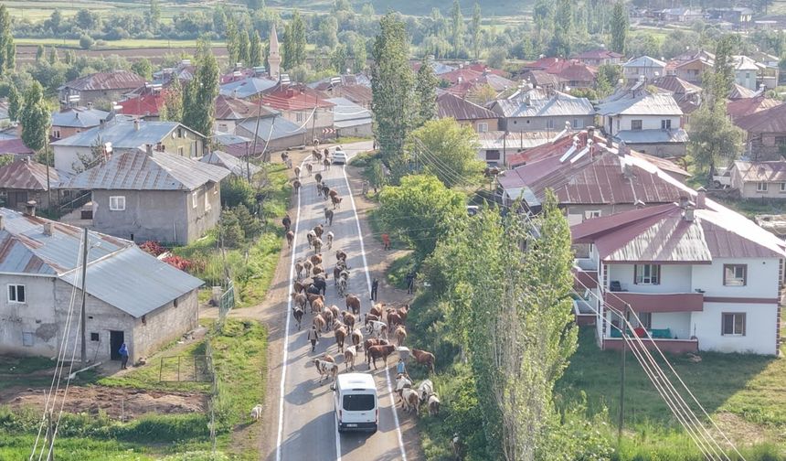 Köyün ortasından geçen yol, kabusa döndü! Adanalı yıllardır çözüm arıyor