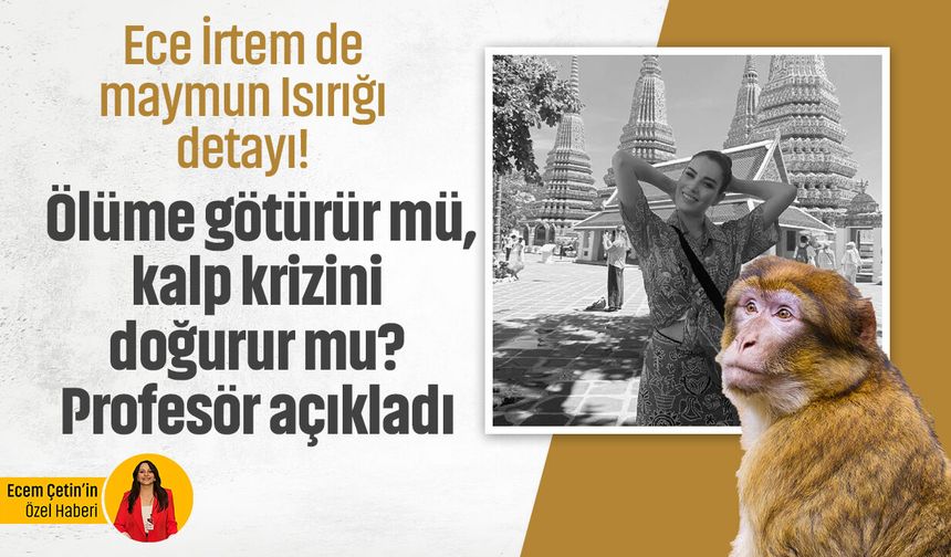 Ece İrtem de maymun Isırığı detayı! Ölüme götürür mü, kalp krizini doğurur mu? Profesör açıkladı