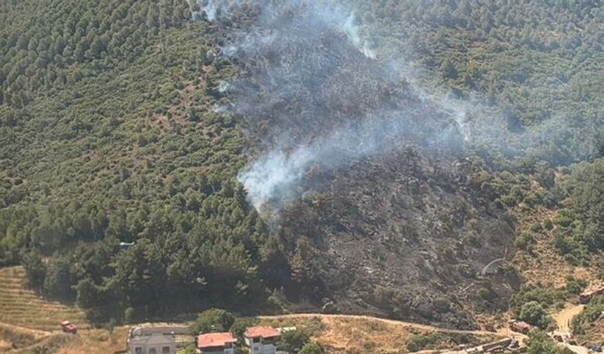 Balıkesir'de korkutan orman yangını
