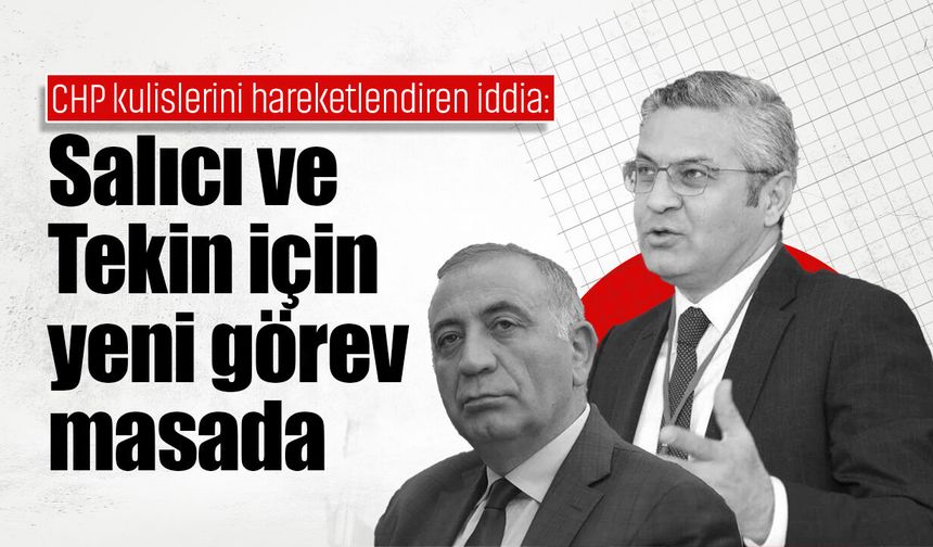 CHP kulislerini hareketlendiren iddia: Salıcı ve Tekin için yeni görev masada