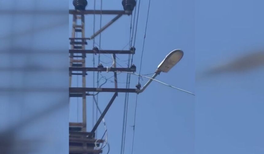 Şanlıurfa’da kaçak hatla elektrikli araç şarjına ceza