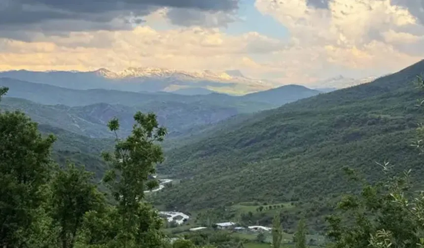 Şırnak’ta ormanlara giriş yasaklandı