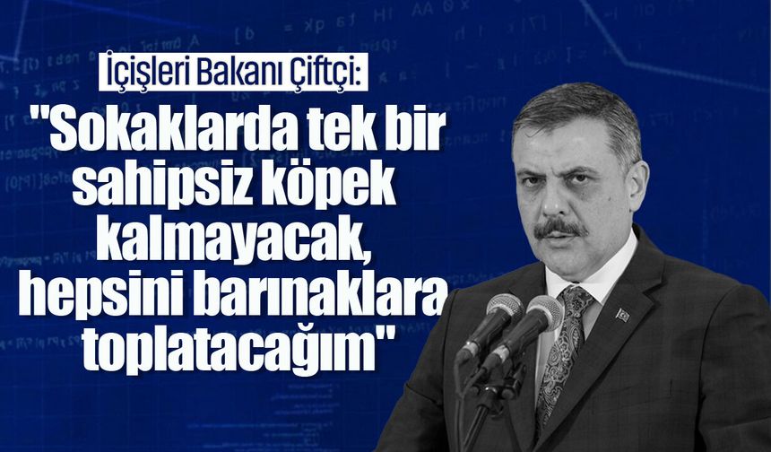 İçişleri Bakanı Çiftçi: "Sokaklarda tek bir sahipsiz köpek kalmayacak, hepsini barınaklara toplatacağım"