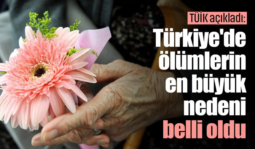 TÜİK açıkladı: Türkiye'de en çok ölüm sebebi belli oldu!