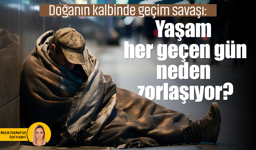 Doğanın kalbinde geçim savaşı: Yaşam her geçen gün neden zorlaşıyor?