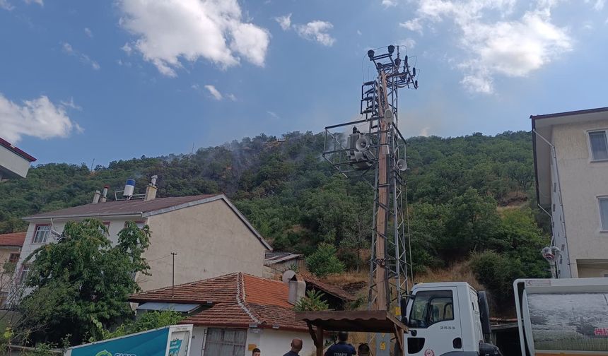 Kastamonu'da üzücü bilanço: 40 dönüm kül oldu