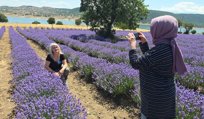 Kütahya'da lavanta bahçesi şöleni