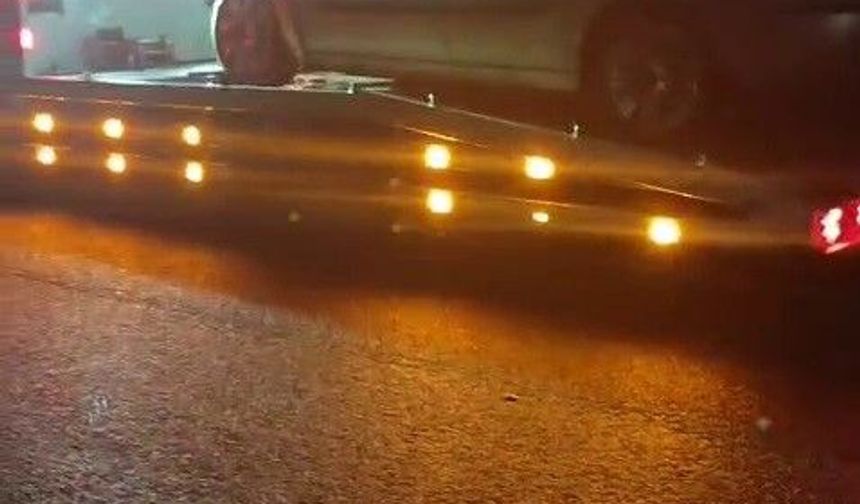 Erzurum'da domuz sürüsüyle otomobil kazası