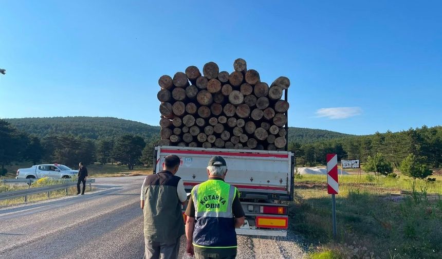 Kütahya'da orman koruması sürüyor