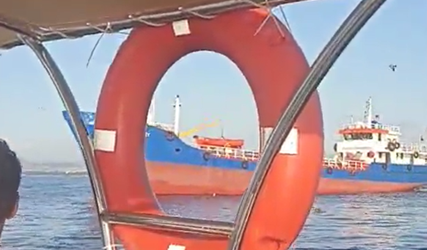 Yalova'da tekne kazasında büyük panik: Denize atlayarak kurtuldular