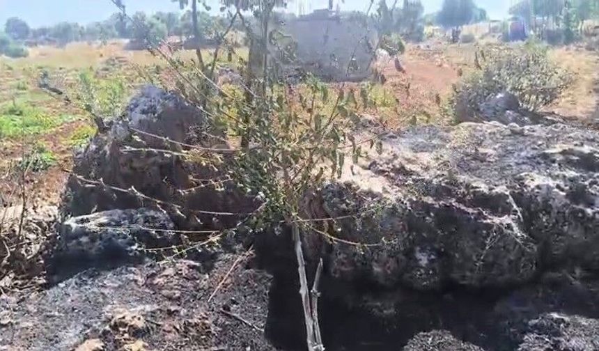 Diyarbakır'da korkutan kırsal yangını