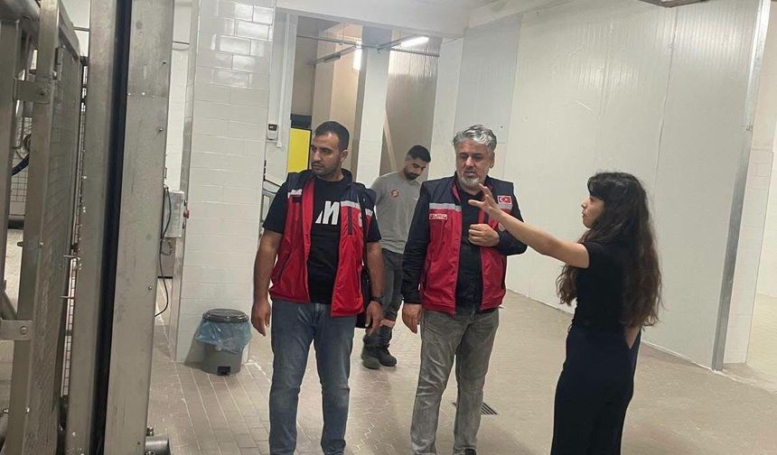 Hatay'da hayvan maması için geniş çaplı denetim
