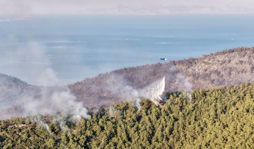 Muğla'da korku dolu orman yangınında seferberlik