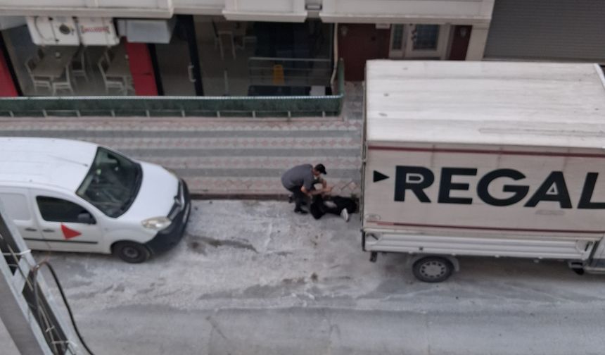 Kafasını defalarca kamyonete vurup kendisini bayılttı! İstanbul'da alıkalmaz anlar kamerada