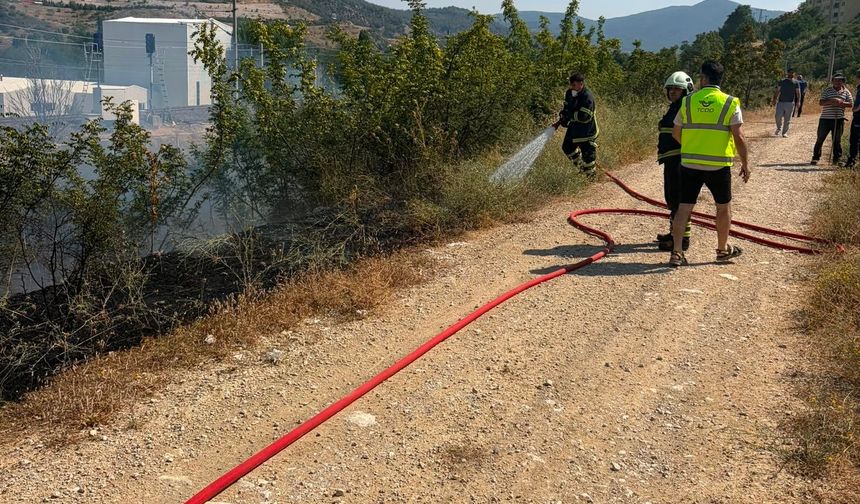 Bilecik'te YHT civarında korkutan yangın