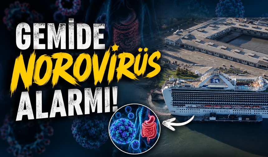 Ünlü gemide norovirüs alarmı: Ruby Princess karantinada
