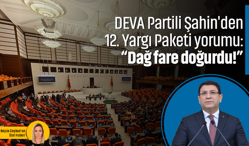 DEVA Partili Şahin'den 12. Yargı Paketi yorumu: “Dağ fare doğurdu!”
