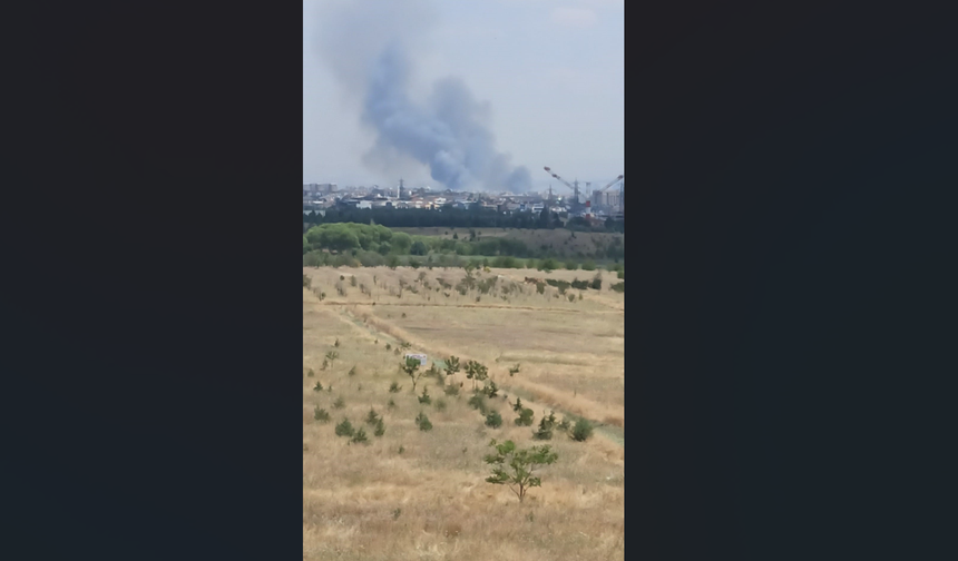 Ankara'nın büyük ilçesinde korkutan ot yangını! Ekipler seferber oldu