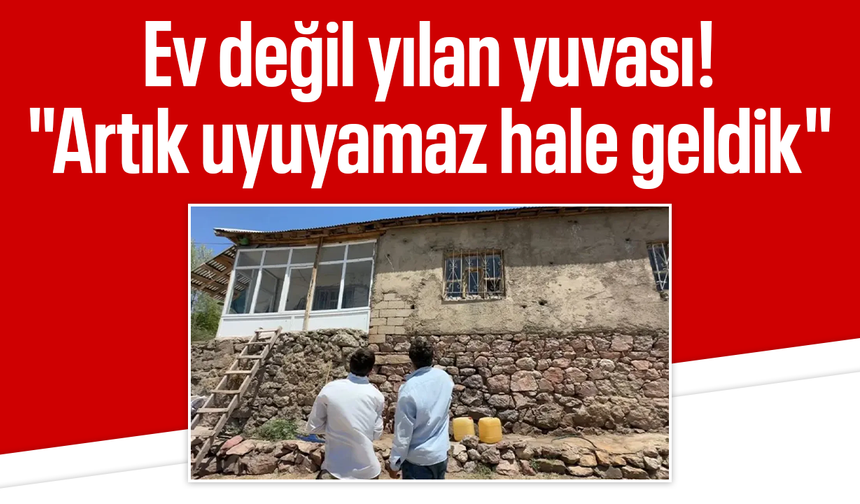 Ev değil yılan yuvası! "Artık uyuyamaz hale geldik"