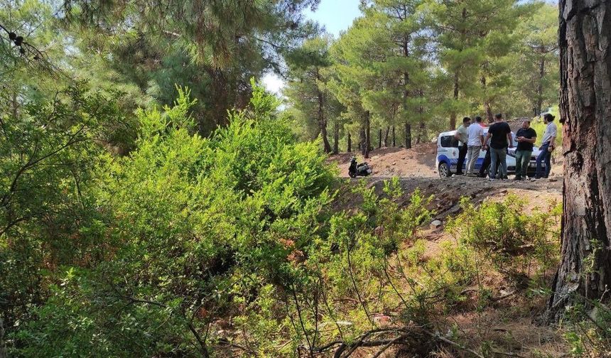 Hatay'da ağaçta asılı erkek cesedi