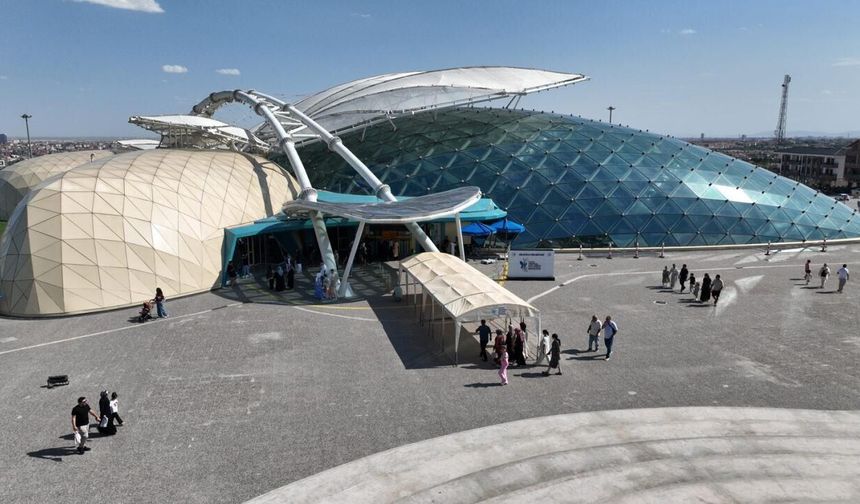 Kelebekler Vadisi Konya nasıl gidilir? Konya Tropikal Kelebek Bahçesi nerede, hangi otobüs gider?